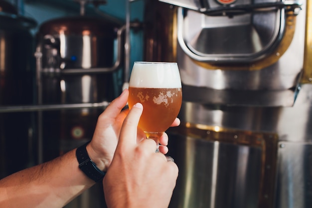 Festival de l'Oktoberfest. Dégustation de bière fraîche brassée. Brewer détient le verre avec de la bière artisanale. Concept de brasserie. Homme avec de la bière de tasse. De l'alcool. Brasseur masculin détient le verre avec de la bière. Fête de l'Oktober. Barman. Brasseur.