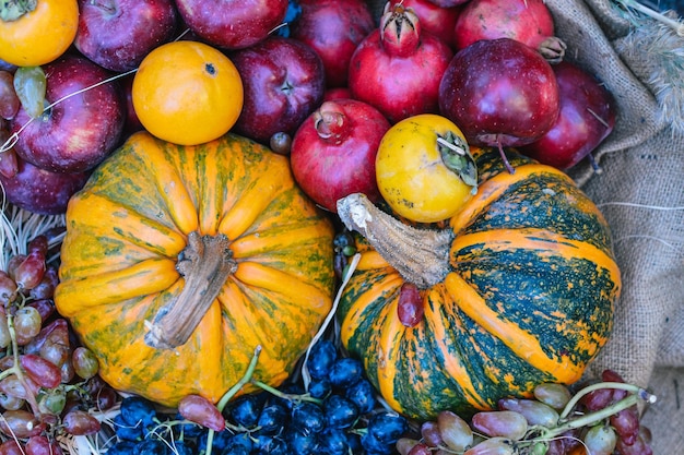 Fête d'Halloween et citrouilles d'Halloween