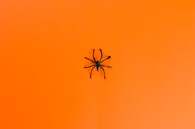 Fête d&#39;Halloween, fond transparent