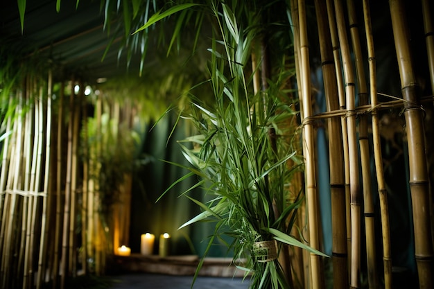 Photo fête juive de sukkot symboles traditionnels les quatre espèces