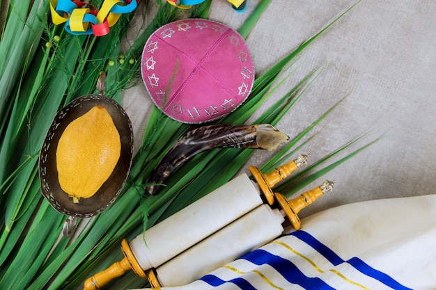 Photo fête juive symboles traditionnels de souccot les quatre espèces à etrog, loulav, hadas, arava