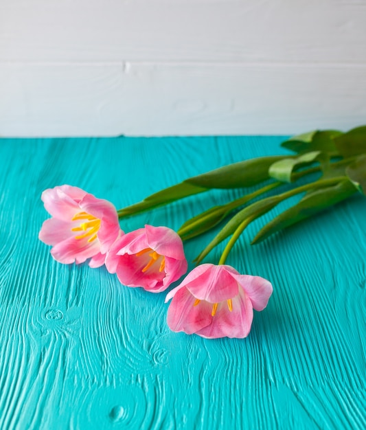 Fête des mères. Tulipes roses sur fond bleu