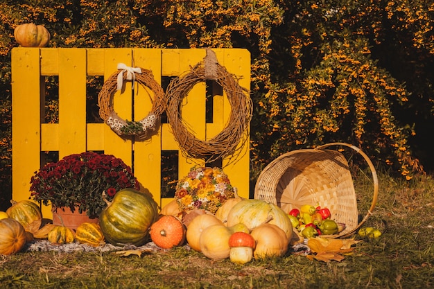 Fête Des Récoltes D'automne - Panier Avec Fruits D'automne, Vieille Valise, Citrouilles Et Fleurs D'automne Colorées. Aménagement Paysager Dans Le Style Campagnard Pour La Saison D'automne.