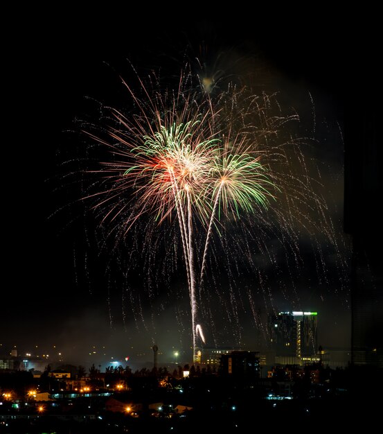 Feu d&#39;artifice aux couleurs vives et salut de différentes couleurs dans le ciel nocturne