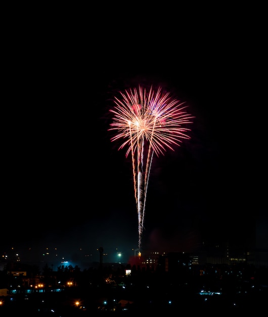 Feu d&#39;artifice aux couleurs vives et salut de différentes couleurs dans le ciel nocturne