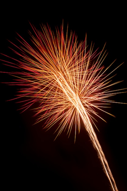 Photo feu d'artifice coloré sur le ciel noir