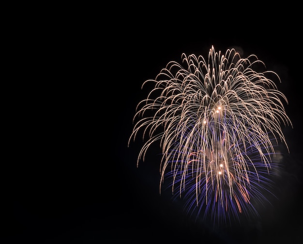 Feu d&#39;artifice coloré dans le ciel nocturne