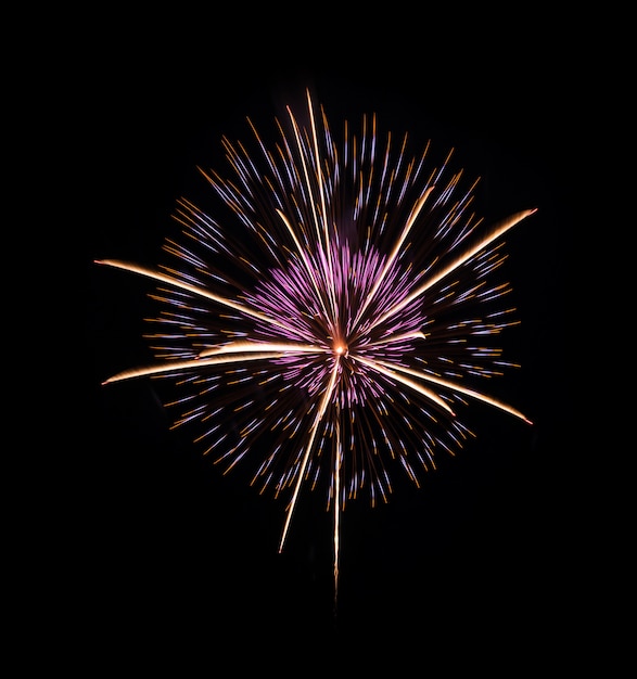 Feu d&#39;artifice coloré sur fond de ciel de nuit