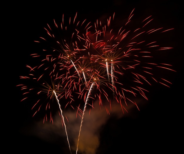 Feu d&#39;artifice coloré sur fond noir