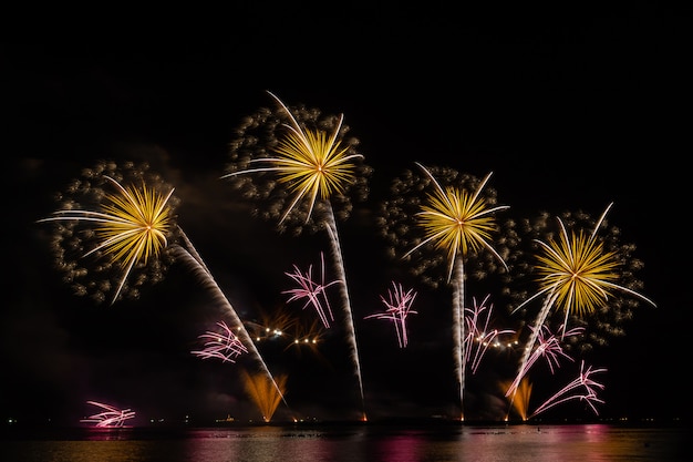 Feu d'artifice dans le ciel sombre