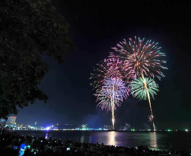 Un feu d'artifice étincelant coloré illumine le ciel