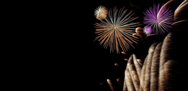 feu d'artifice, incroyable jeu de lumière dans le ciel