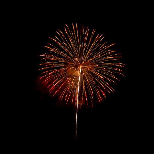 Feu d'artifice isolé sur fond noir