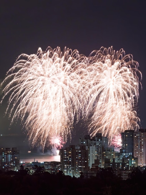 Feu d'artifice paysage urbain de Taipei, Taiwan.