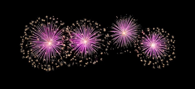 Un feu d'artifice rose isolé sur fond noir pour la célébration du nouvel an et l'anniversaire