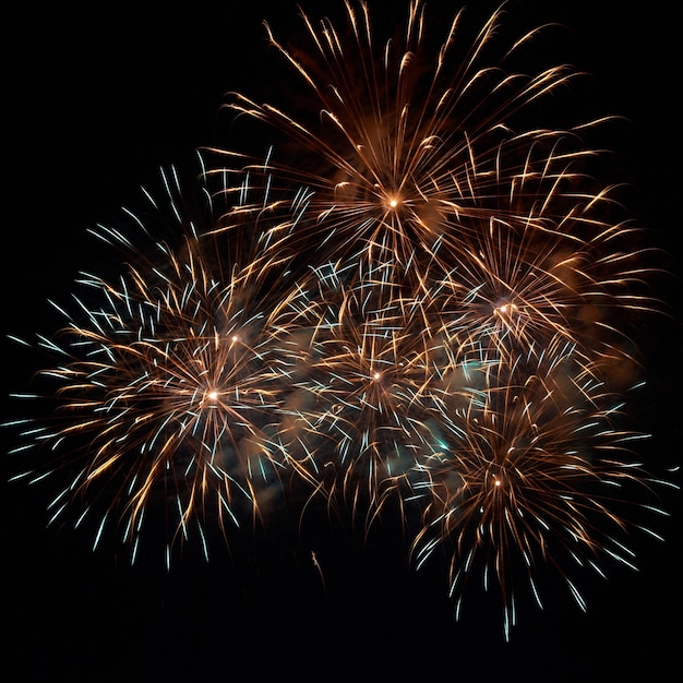 Feu d'artifice, salut sur le ciel noir