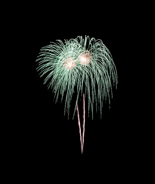 Feu d'artifice vert étincelant pendant la nuit