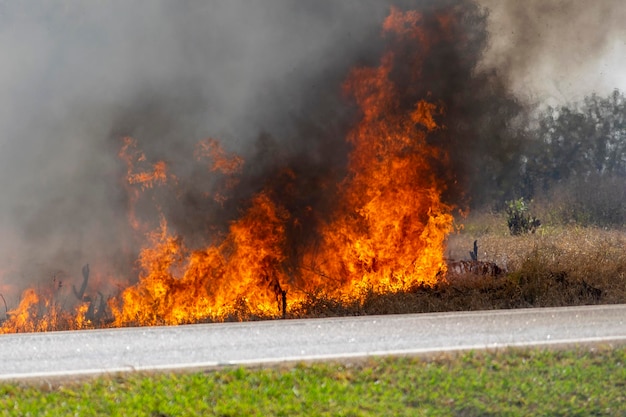 Feu de brousse au bord de la route