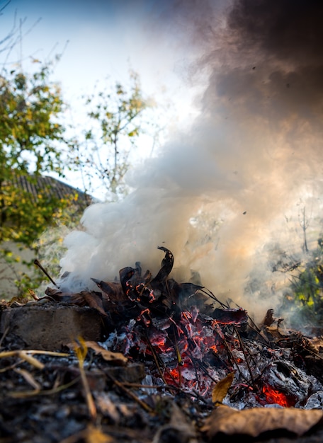 Photo feu brûlant de feuilles séchées. flammes et fumée de feuilles en feu. la combustion des feuilles est mauvaise pour l'environnement