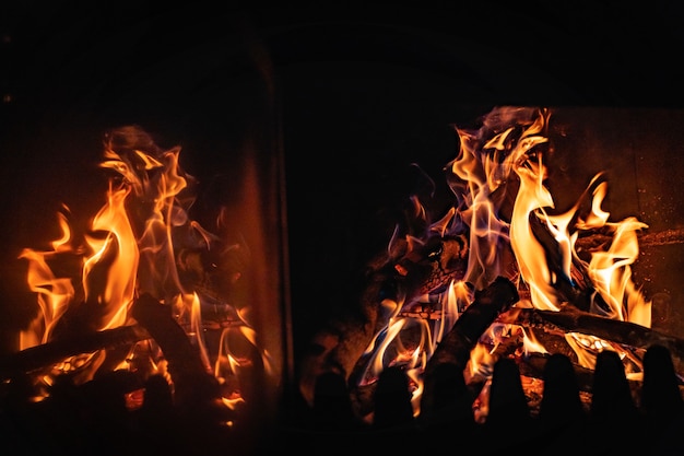 Feu de camp chaleureux et confortable dans la forêt Feu d'étang en vacances pendant le camping