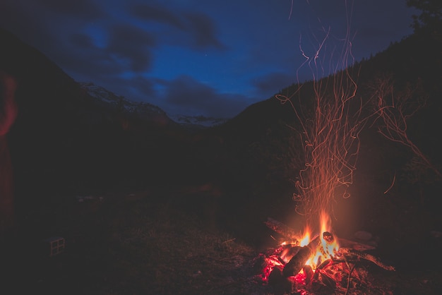 Feu de camp dans des forêts de mélèzes et de pins