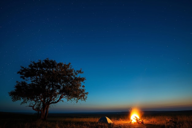 Un feu de camp éclaire le ciel nocturne au milieu d'une plaine herbeuse