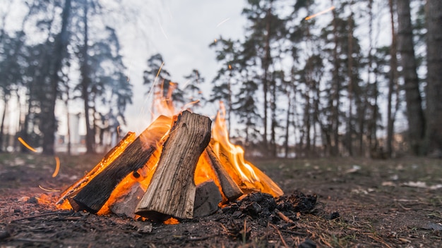 Photo feu de camp à faible angle extérieur