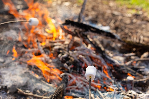 Feu de camp, friture de guimauves sur le bûcher