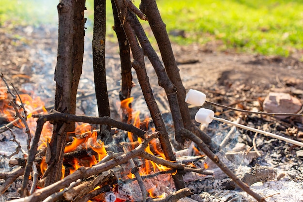 Feu de camp, friture de guimauves sur le bûcher