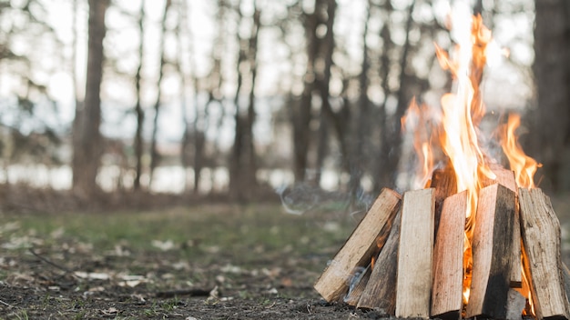 Feu de camp en gros plan