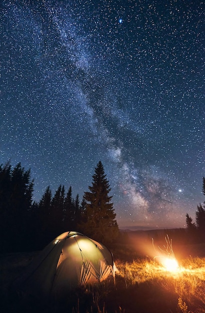 Feu de camp lumineux et tente dans la forêt nocturne