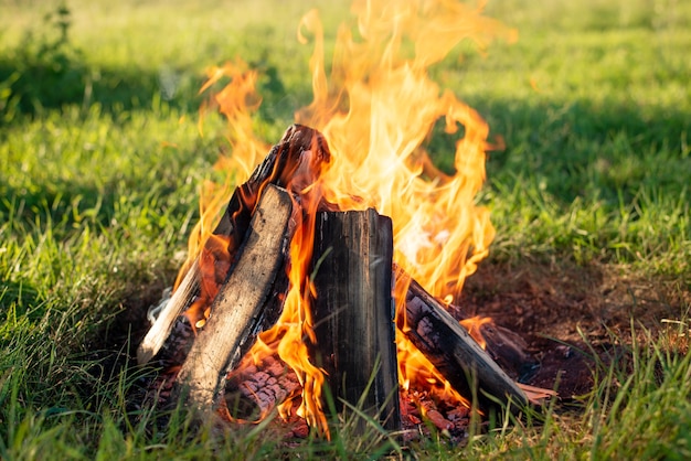 Feu de camp en plein air le soir