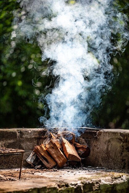 Feu de camp pour barbacue dans la nature