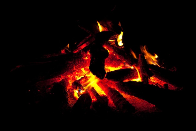 Feu de camp