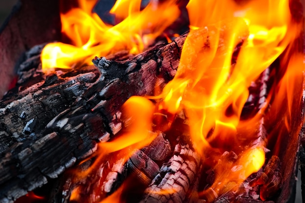 Un feu avec des charbons et un feu sur fond de pique-nique nature Brûle un feu de joie pour se nourrir dans la rue