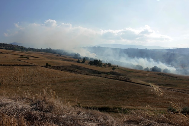 feu de chaume