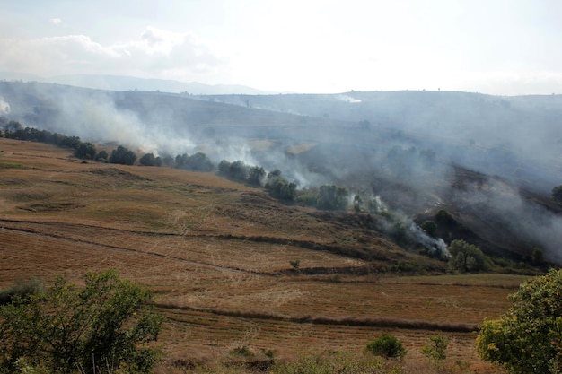 feu de chaume