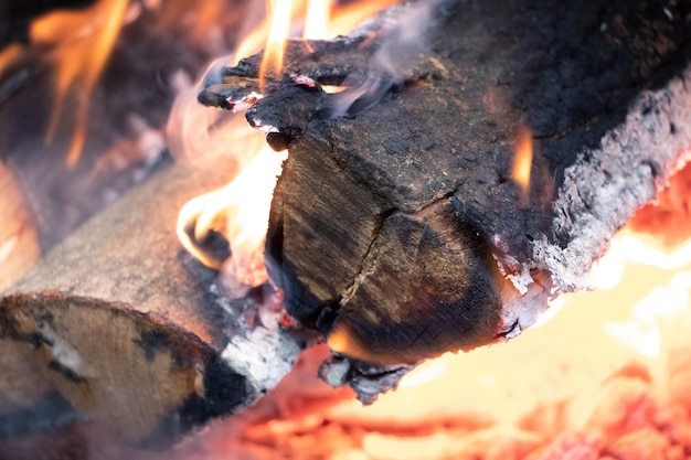 Feu dans la cheminée avec du bois de chauffage et du charbon Le bois de chauffage brûle