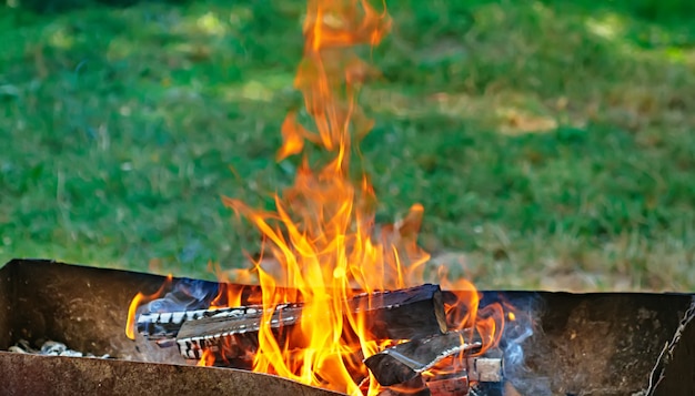 Feu, flammes de braises pour pique-nique au barbecue ou au barbecue, fumée et bois de chauffage en plein air