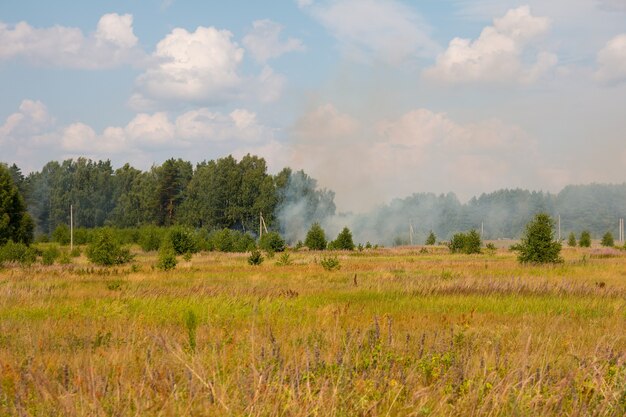 Un feu de forêt dans un champ. Catastrophe naturelle