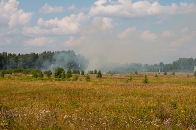 Un feu de forêt dans un champ. Catastrophe naturelle