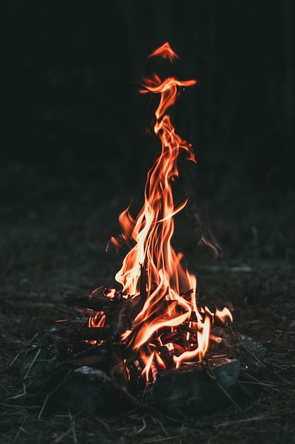 Feu de joie sur le champ la nuit