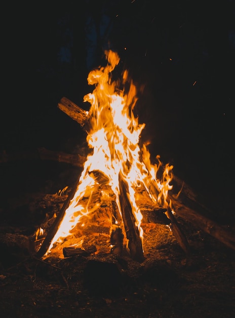 Feu de joie sur le champ la nuit