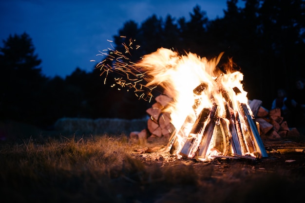 Feu de joie dans la forêt au crépuscule