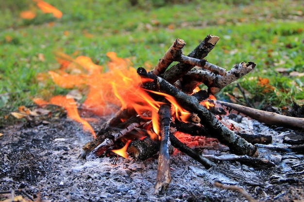 Feu De Joie Dans La Forêt D'automne.