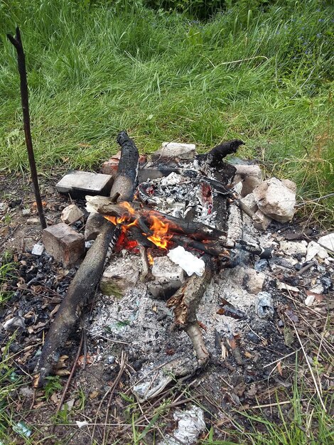 Feu de joie dans la forêt une flamme nue sur fond vert d'une forêt