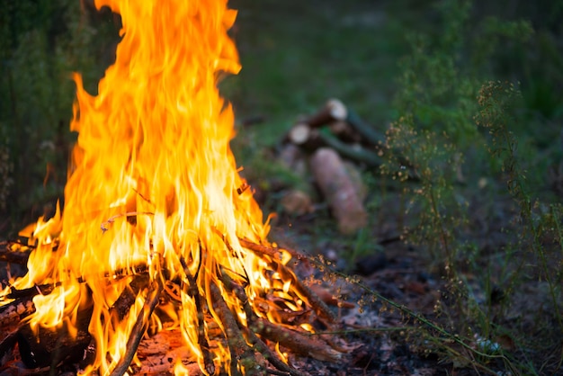 Feu de joie dans la forêt avec une grande flamme de feu