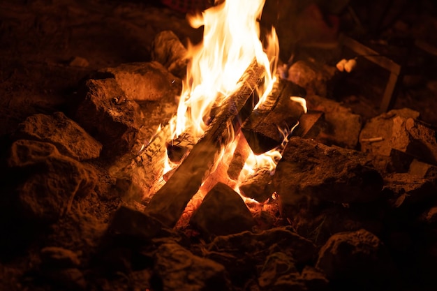 Photo le feu de joie. le feu. flammes. brûler du bois de chauffage nuit forêt