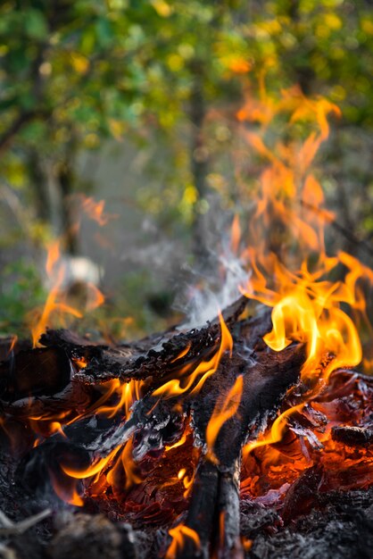 Feu de joie avec des flammes agitées. La texture de l'arbre en feu. Feu de joie sur la nature pour cuisiner