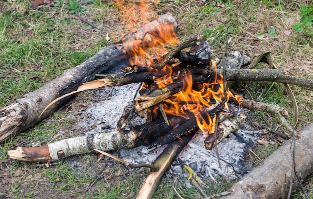 Feu de joie sur l'herbe à la forêt